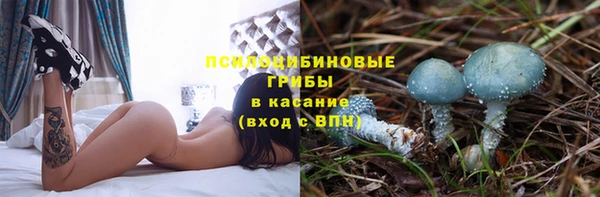 МДПВ Козельск