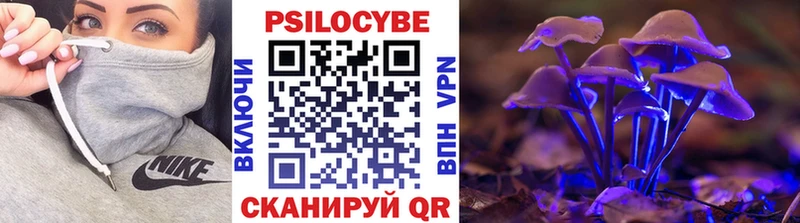 сколько стоит  Мглин  Псилоцибиновые грибы MAGIC MUSHROOMS 